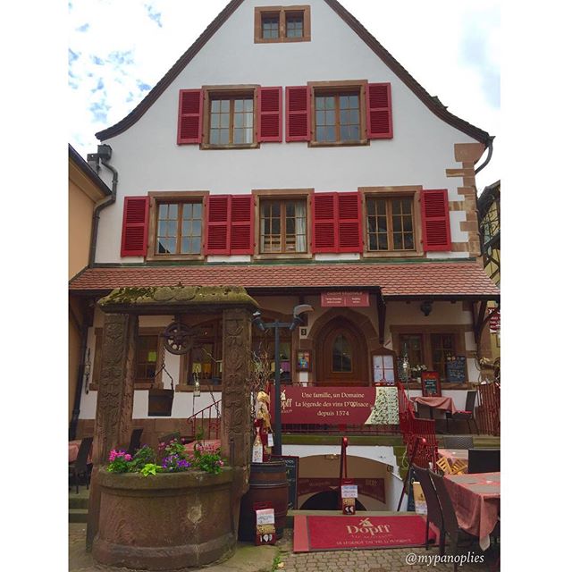 19985092_687192684787176_2279791842130132992_n