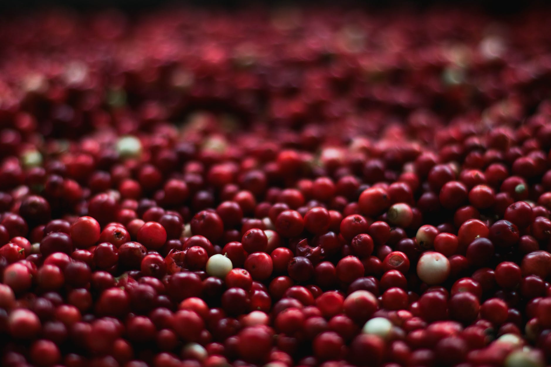 food healthy red fruits