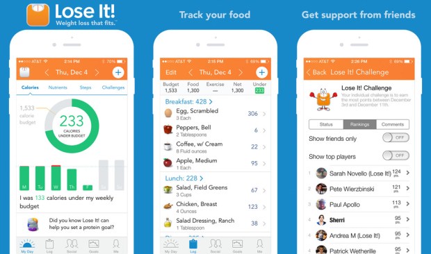 lose-it-app