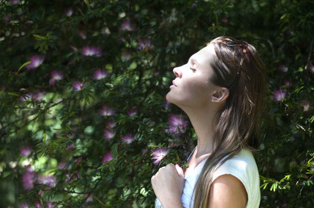 Pray your way to&nbsp;peace